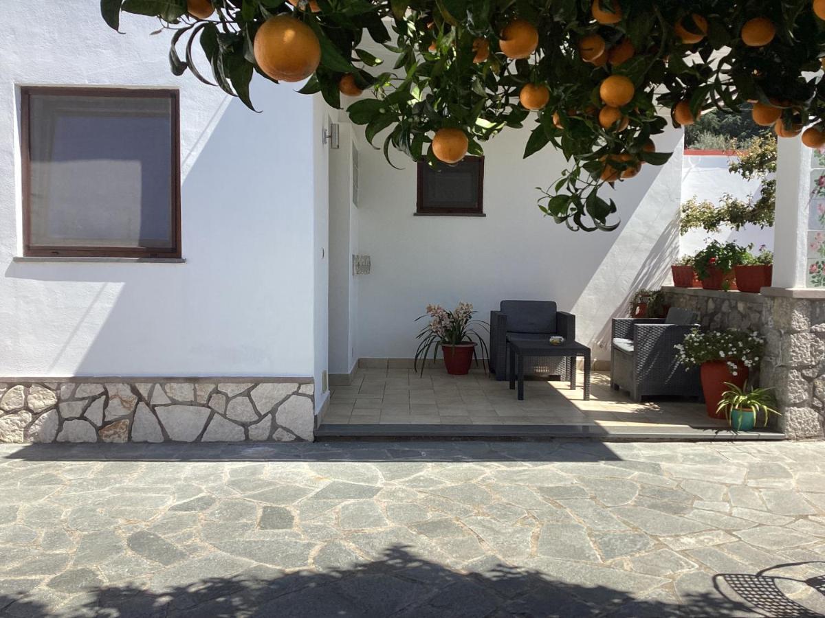 B&B Casetta Minghitto Anacapri  Zewnętrze zdjęcie
