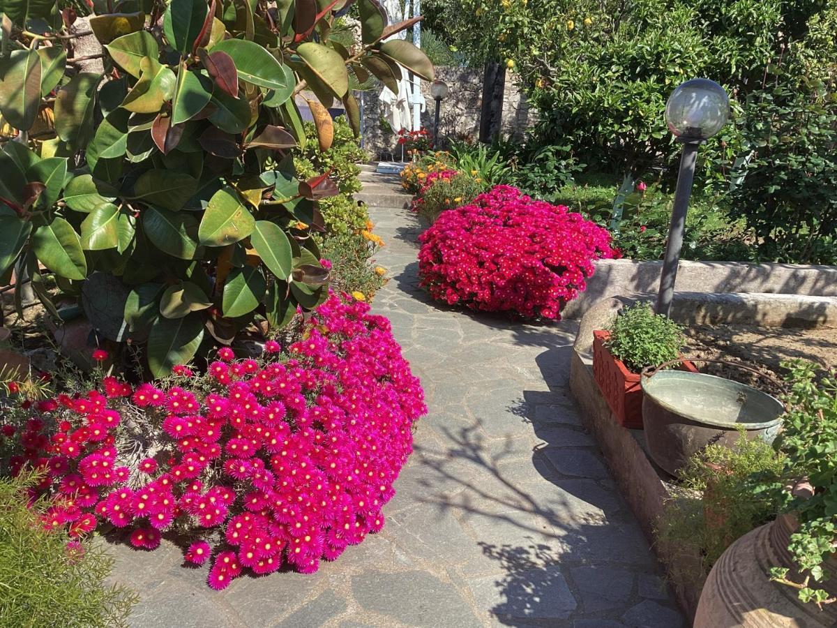 B&B Casetta Minghitto Anacapri  Zewnętrze zdjęcie